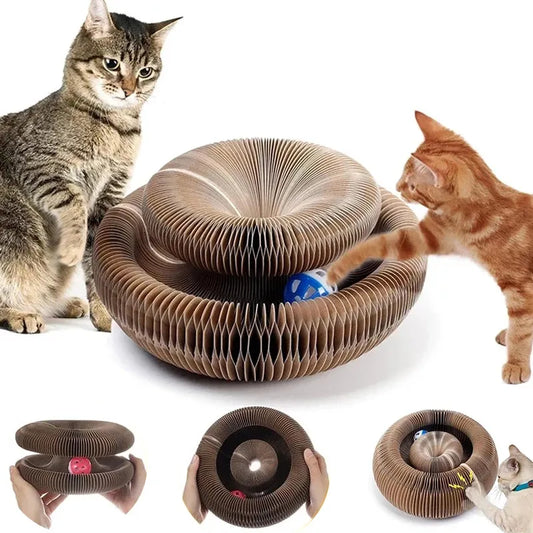 Paws Choose™ Cats Toy Scratcher